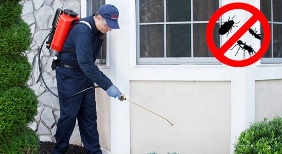 Sincan Hamam Böceği İlaçlama böcek ilaçlama ve haşere kontrolü — ilaclama-tr.com